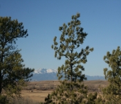 Thanksgiving 2008 168